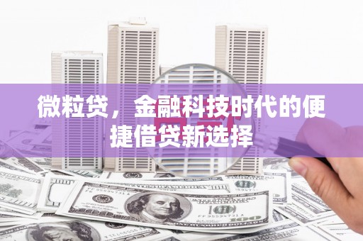新昌微粒贷，金融科技时代的便捷借贷新选择