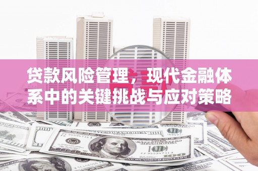 铜梁贷款风险管理，现代金融体系中的关键挑战与应对策略