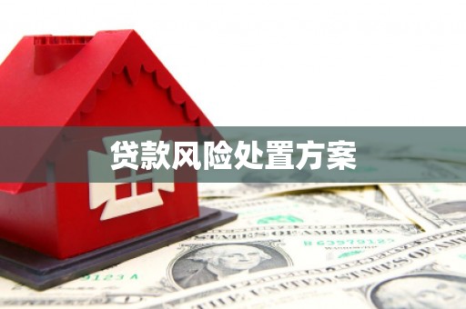 圣方济各堂区贷款风险处置方案