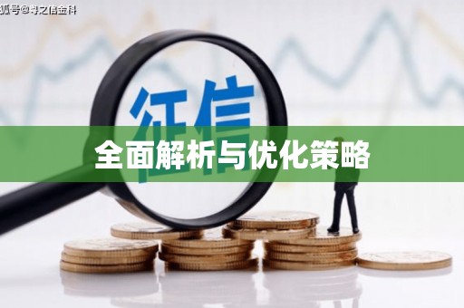 大甲全面解析与优化策略