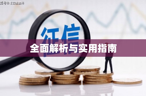 乐东全面解析与实用指南