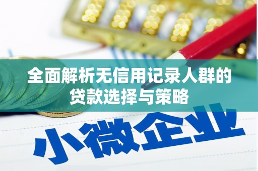 嵩县全面解析无信用记录人群的贷款选择与策略