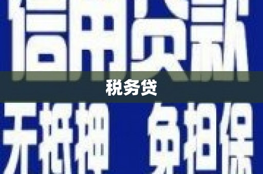 竹崎税务贷