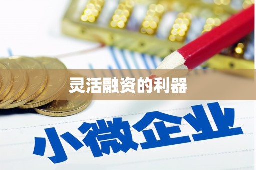 阳山灵活融资的利器