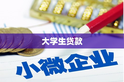 故城大学生贷款